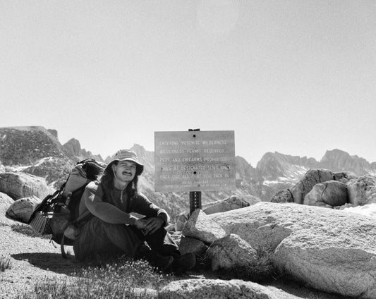 Into The Wild